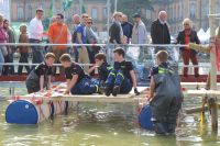 img_4072 gro